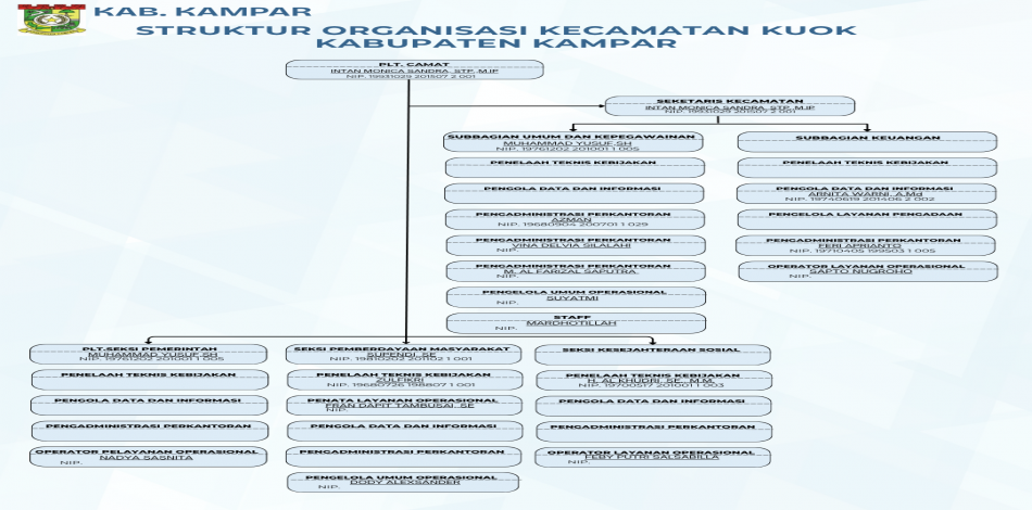 Struktur Organisasi